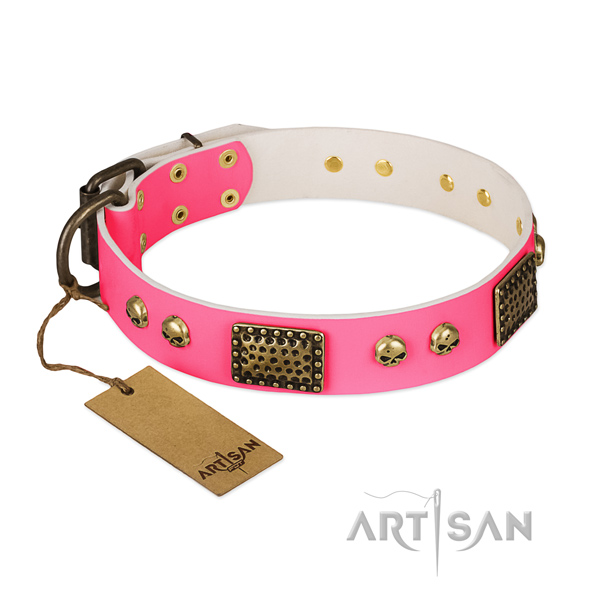 Adjustable leather dog collar for walking your pet