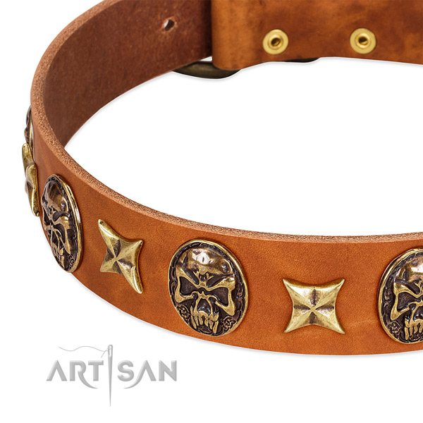 Durable adornments on full grain natural leather dog collar for your dog