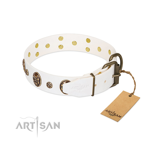 Reliable buckle on genuine leather dog collar for your pet