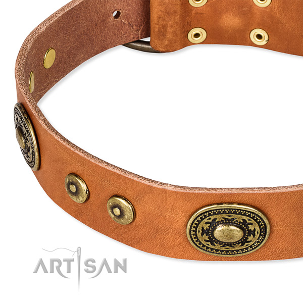 Full grain natural leather dog collar made of top rate material with adornments