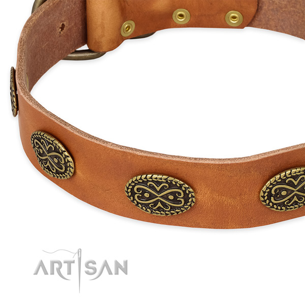 Adjustable full grain natural leather collar for your attractive canine