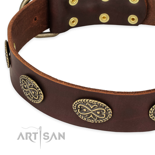 Studded genuine leather collar for your impressive doggie