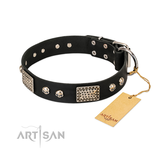 Easy to adjust full grain natural leather dog collar for basic training your pet