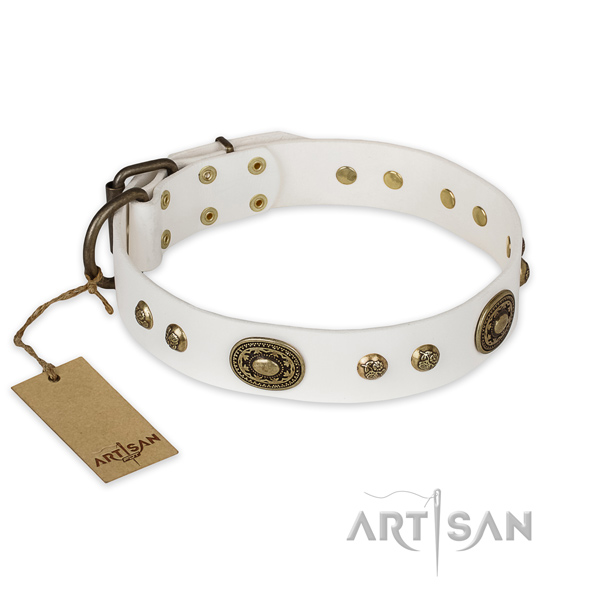 Unique genuine leather dog collar for daily walking