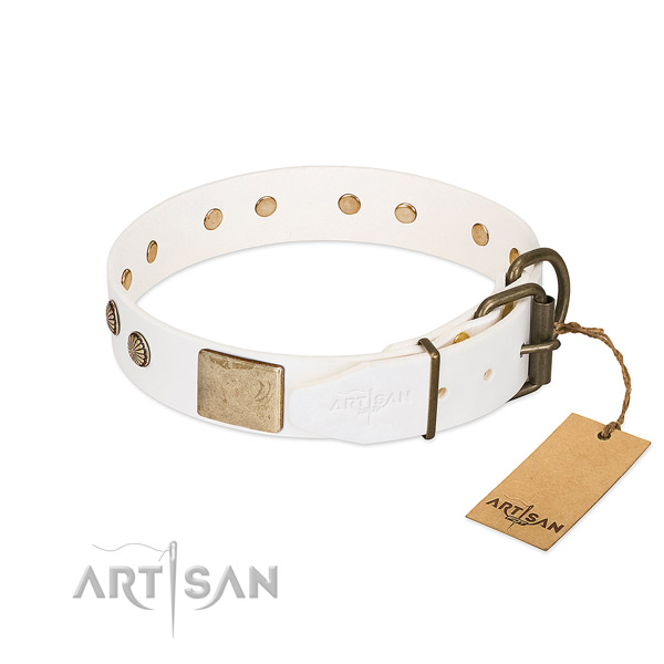 Rust-proof embellishments on daily walking dog collar