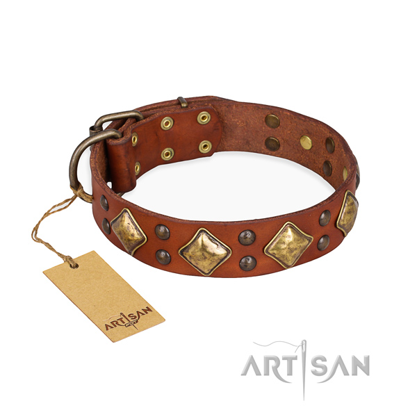 Handy use top notch dog collar with rust resistant traditional buckle