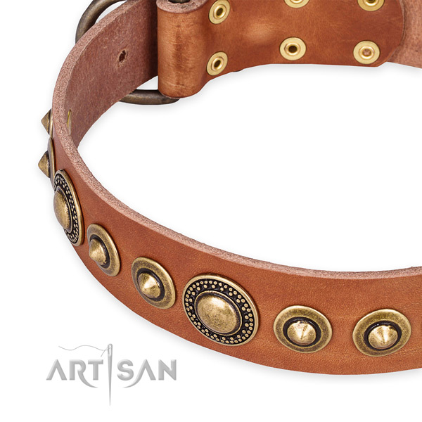 Best quality full grain leather dog collar made for your handsome pet