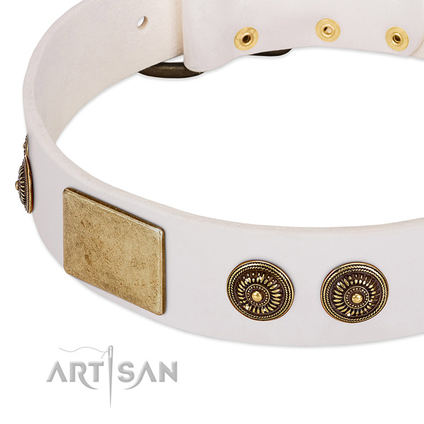 Amazing dog collar crafted for your impressive doggie