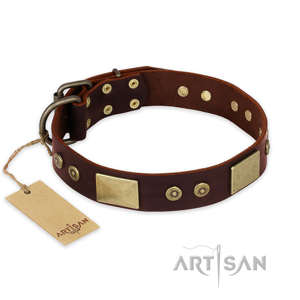 Extraordinary natural genuine leather dog collar for daily use