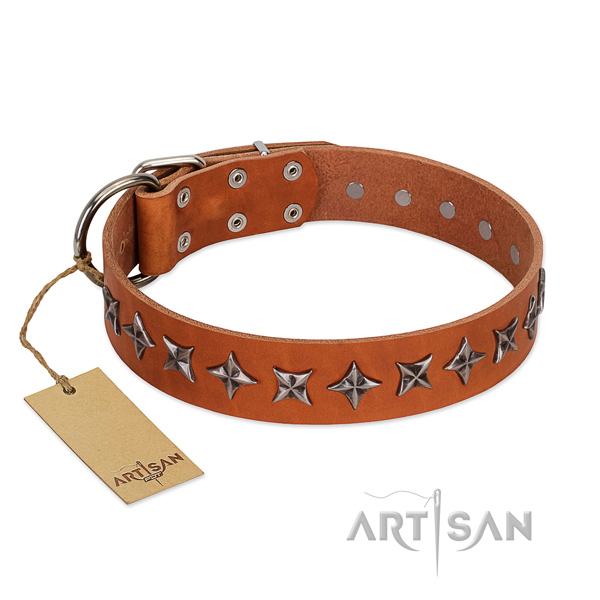 Comfy wearing dog collar of high quality leather with adornments