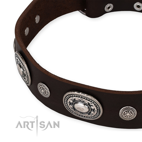 Strong genuine leather dog collar handcrafted for your lovely four-legged friend