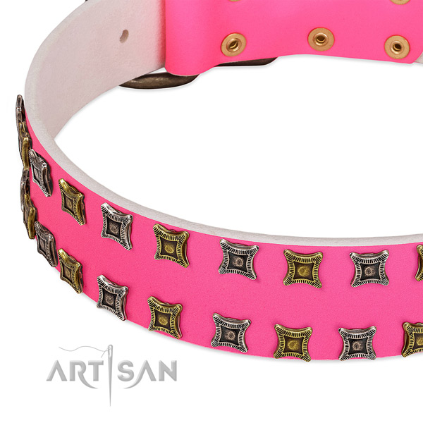 Full grain genuine leather dog collar with studs for your stylish doggie