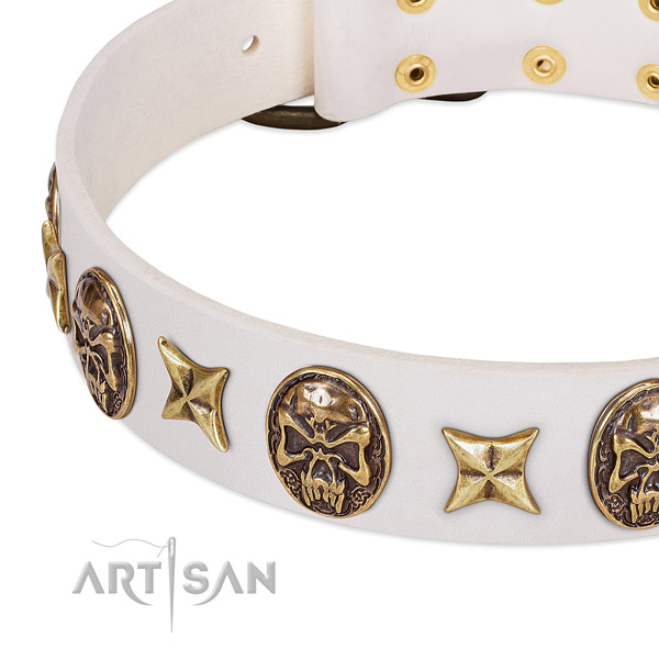 Extraordinary dog collar crafted for your handsome doggie
