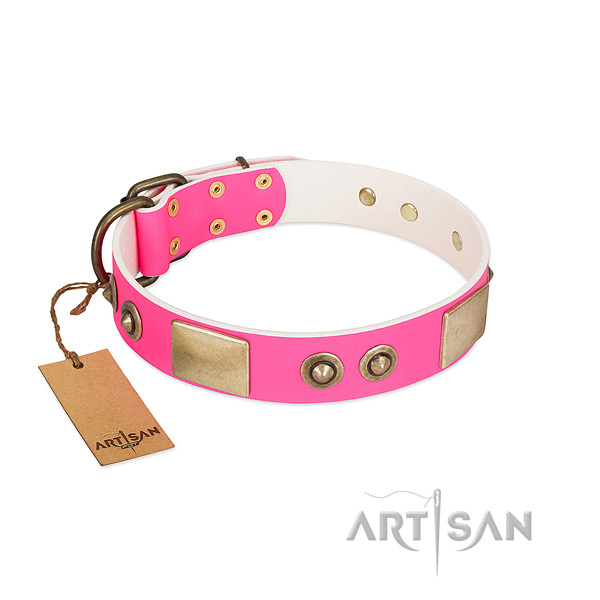 Rust resistant studs on genuine leather dog collar for your dog