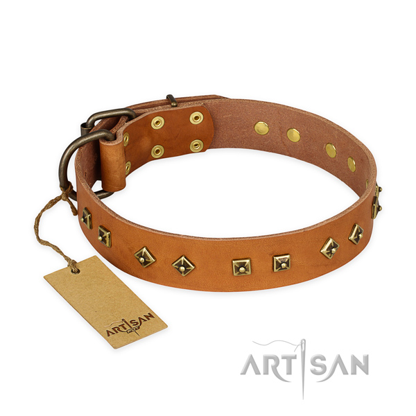 Easy adjustable leather dog collar with corrosion resistant fittings