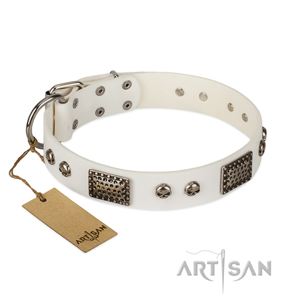 Easy adjustable full grain genuine leather dog collar for basic training your four-legged friend