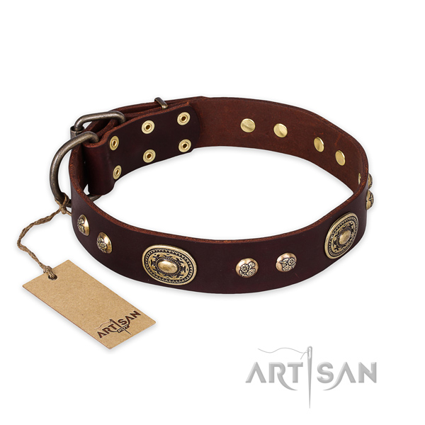 Adorned natural leather dog collar for fancy walking