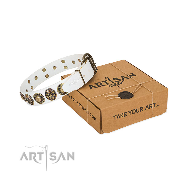 Rust-proof hardware on dog collar for comfy wearing