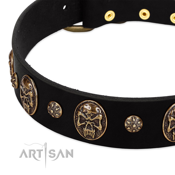 Corrosion resistant decorations on full grain genuine leather dog collar for your dog