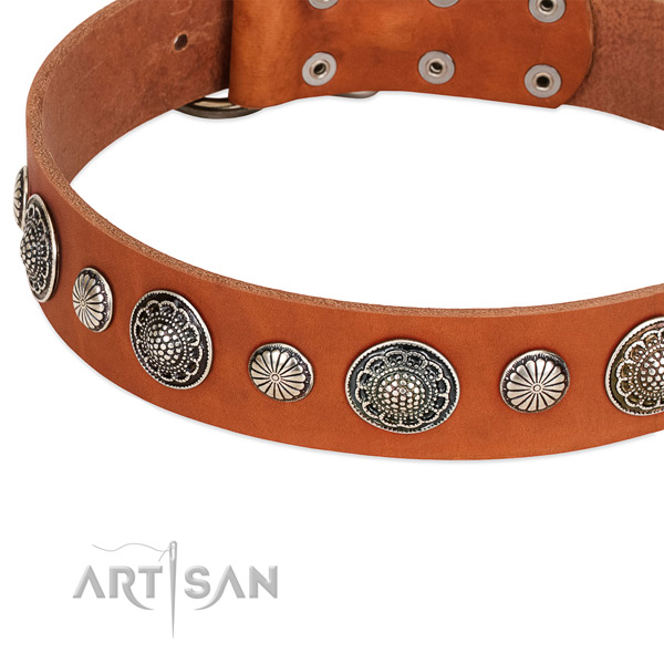 Genuine leather collar with rust-proof buckle for your stylish pet