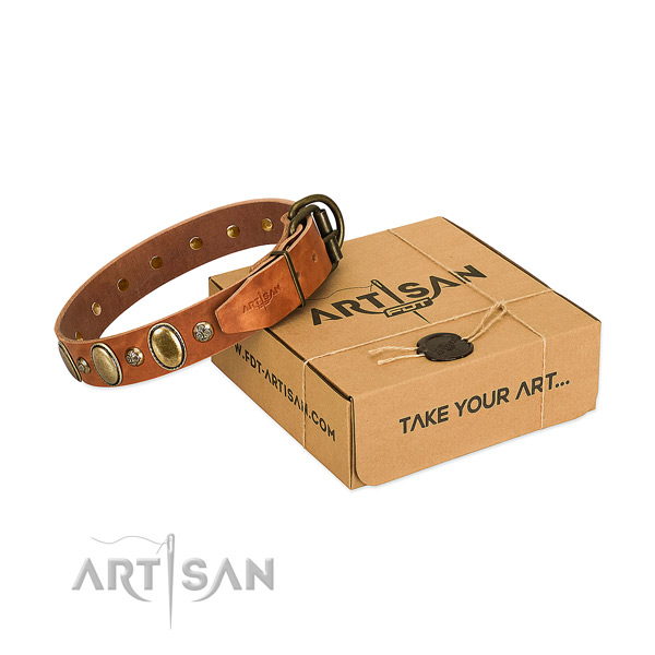 Impressive leather dog collar with rust-proof hardware