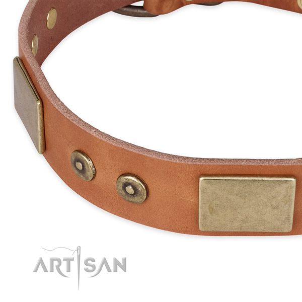 Corrosion resistant D-ring on full grain natural leather dog collar for your pet