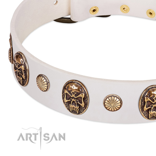 Rust resistant adornments on leather dog collar for your dog