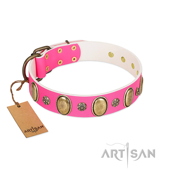Handy use top rate genuine leather dog collar with embellishments