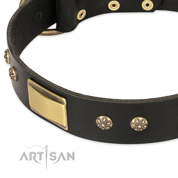 Rust-proof embellishments on full grain genuine leather dog collar for your four-legged friend