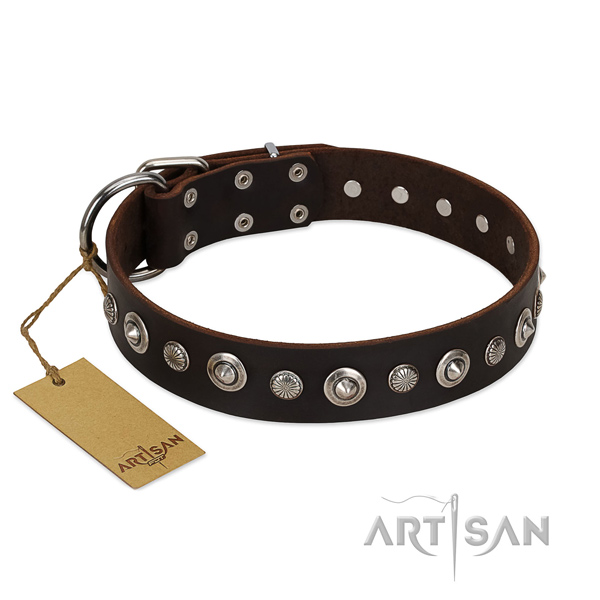 Top quality full grain natural leather dog collar with exquisite studs