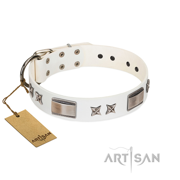 Decorated dog collar of natural leather