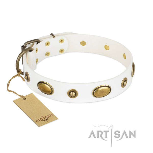 Embellished full grain natural leather collar for your four-legged friend