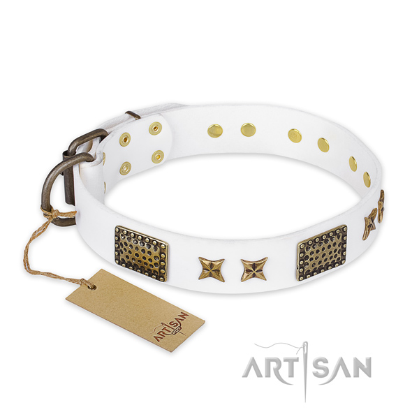 Studded full grain genuine leather dog collar with reliable D-ring