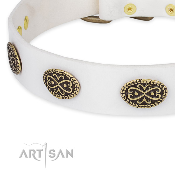 Designer leather collar for your stylish four-legged friend
