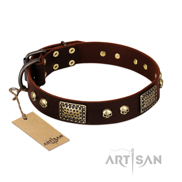 Adjustable genuine leather dog collar for daily walking your four-legged friend