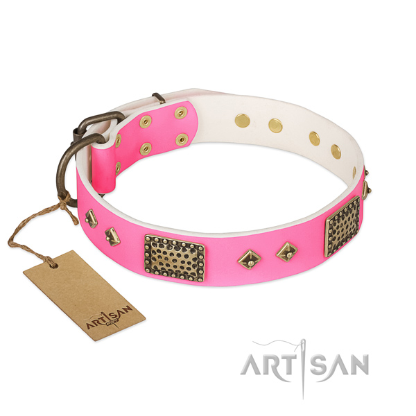 Easy adjustable full grain leather dog collar for stylish walking your doggie