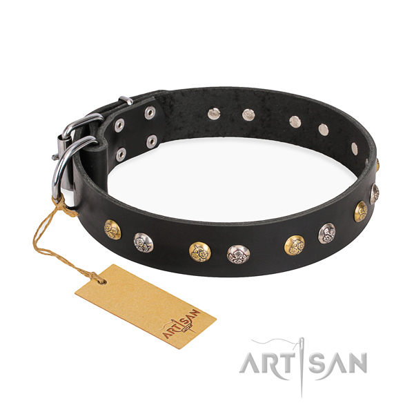 Daily use exquisite dog collar with reliable D-ring
