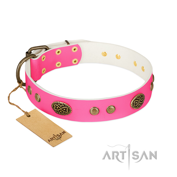 Strong embellishments on natural leather dog collar for your pet