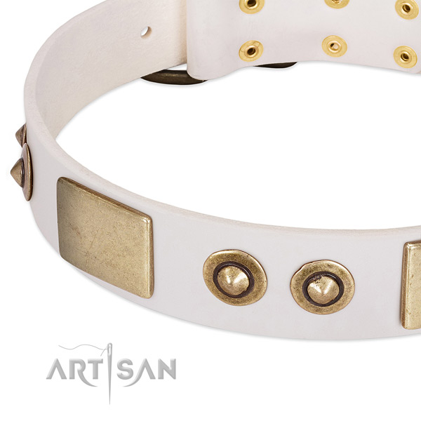 Rust resistant embellishments on full grain natural leather dog collar for your canine