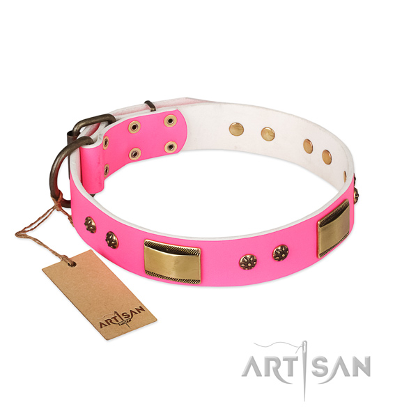 Significant full grain natural leather collar for your four-legged friend