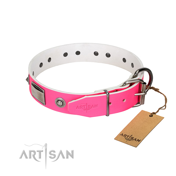 Stylish full grain natural leather collar with adornments for your doggie