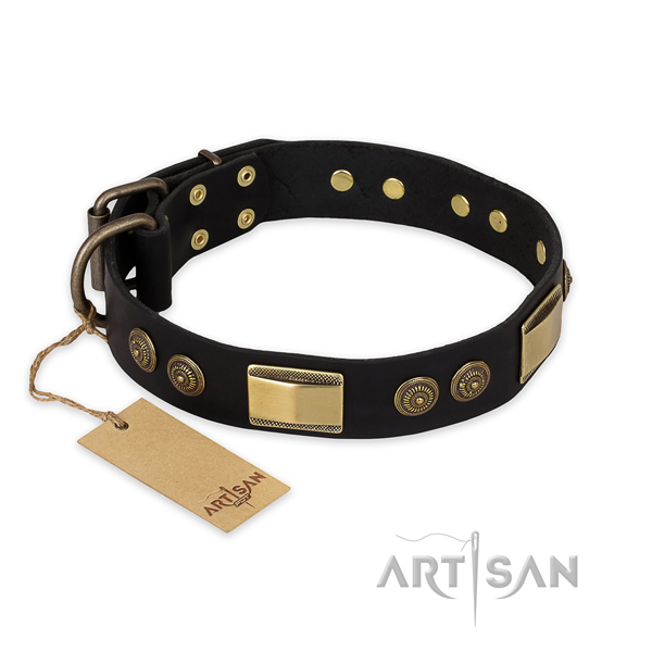 Impressive full grain natural leather dog collar for stylish walking