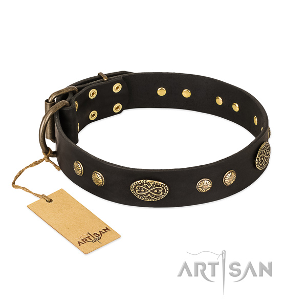 Durable decorations on full grain leather dog collar for your dog