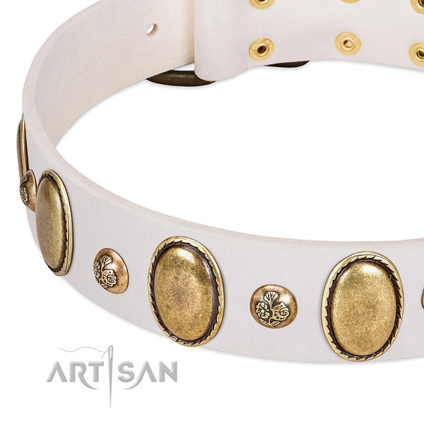 Full grain leather dog collar with exceptional adornments