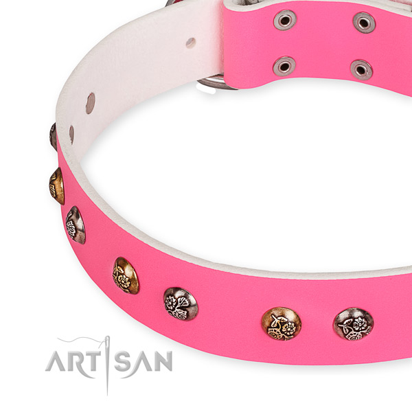 Genuine leather dog collar with amazing rust-proof decorations