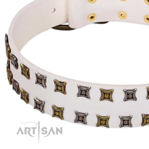 Flexible leather dog collar for your attractive doggie