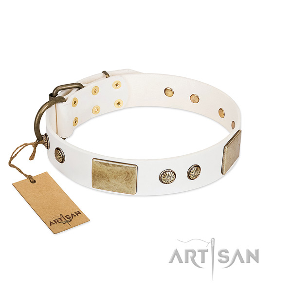 Easy to adjust full grain natural leather dog collar for stylish walking your doggie