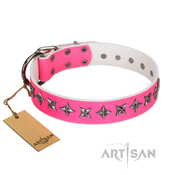 Quality full grain genuine leather dog collar with exceptional embellishments