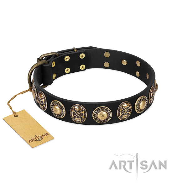 Adjustable full grain genuine leather dog collar for walking your canine