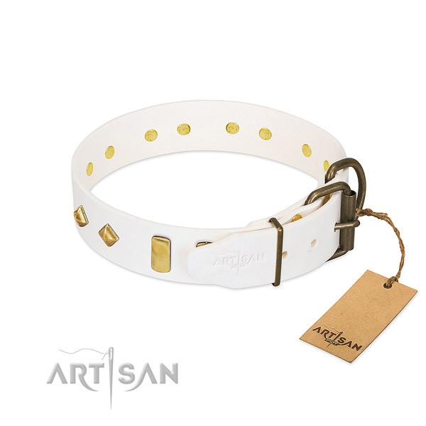 Reliable full grain leather dog collar with durable D-ring